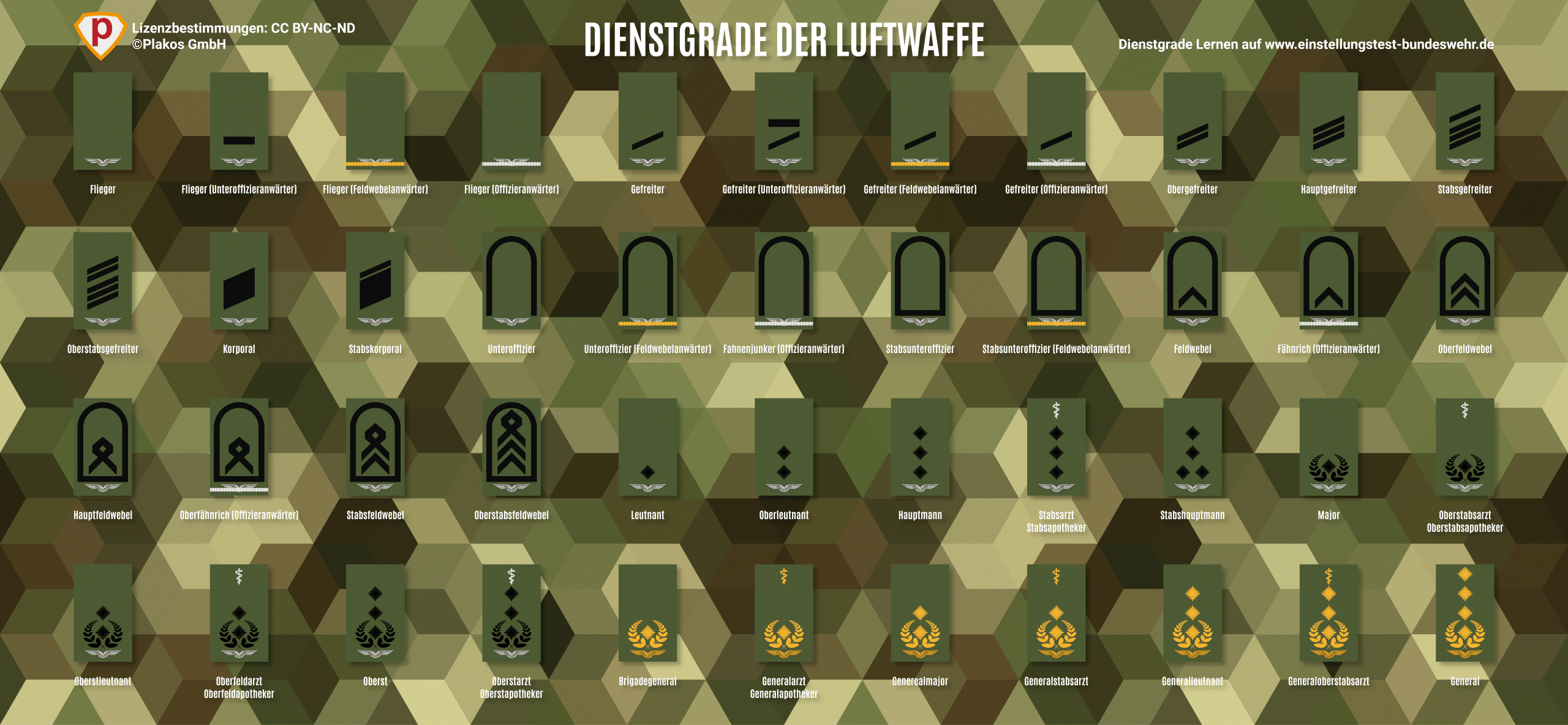 Bundeswehr Dienstgrade der Luftwaffe
