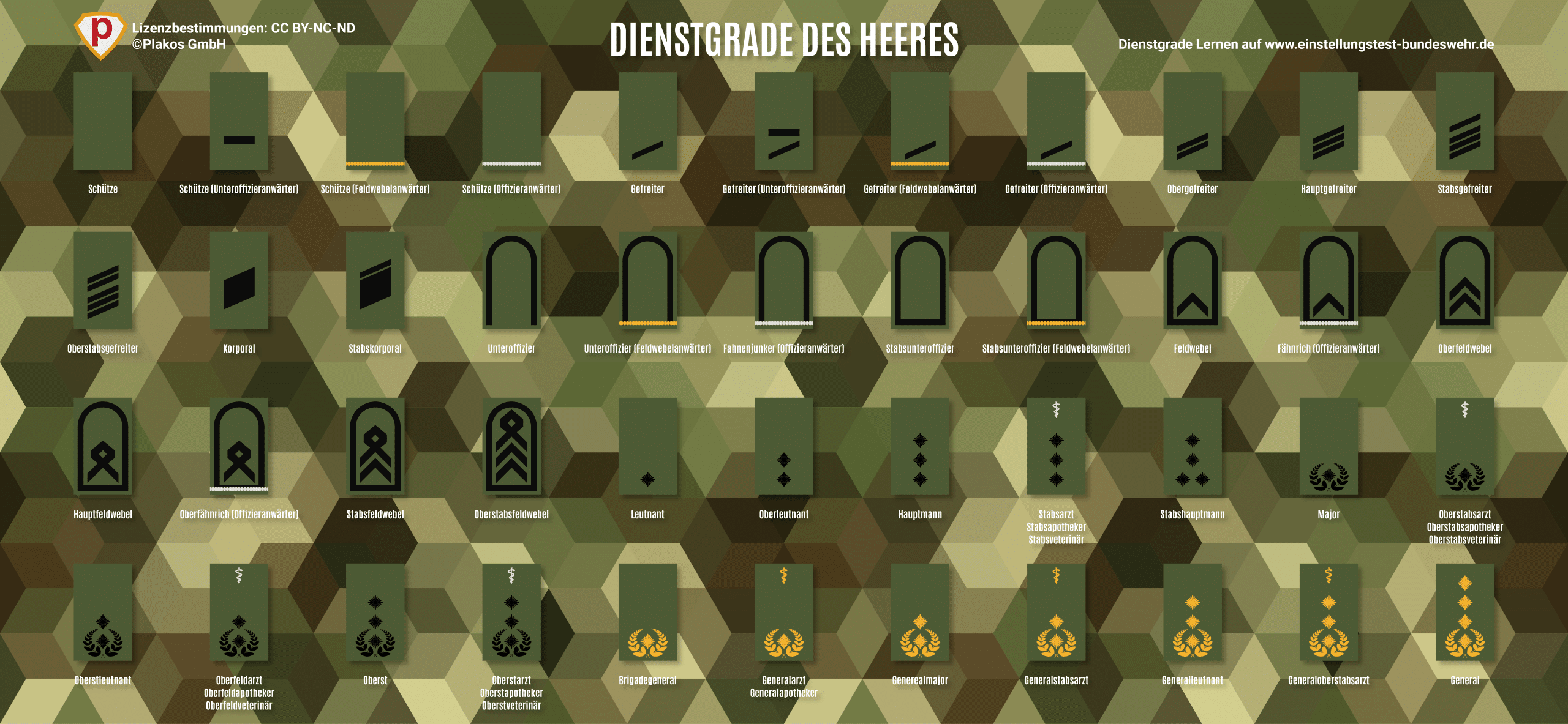 Bundeswehr Dienstgrade des Heeres