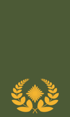 Brigadegeneral