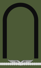 Fahnenjunker (Offizieranwärter)