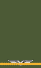 Flieger (Feldwebelanwärter)