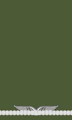 Flieger (Offizieranwärter)