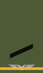 Gefreiter (Feldwebelanwärter)