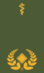 Generalarzt/Generalapotheker