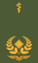 Generalarzt_Generalapotheker