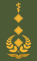 Generalloberstabsarzt