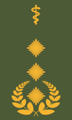 Generaloberstabsarzt