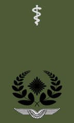 Oberstabsarzt_Oberstabsapotheker