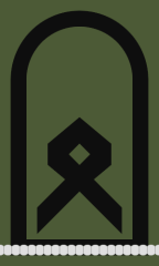 Oberfähnrich (Offizieranwärter)