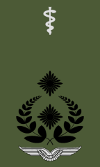 Oberfeldarzt_Oberfeldapotheker