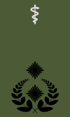 Oberfeldarzt/Oberfeldapotheker/Oberfeldveterinär