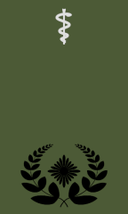 Oberstabsarzt/Oberstabsapotheker/Oberstabsveterinär