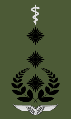 Oberstarzt_Oberstapotheker