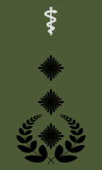 Oberstarzt/Oberstapotheker/Oberstveterinär