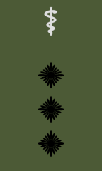 Stabsarzt/Stabsapotheker/Stabsveterinär